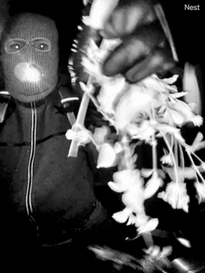 Masked, armed  person at the front door of Nancy Guthrie's home in Catalina Foothills, Arizona during the early morning before Nancy Guthrie was reported missing (SOURCE: FBI)